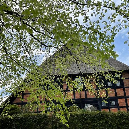 Ferienwohnung St. Dionyser Heidedorf Sankt Dionys Exterior foto
